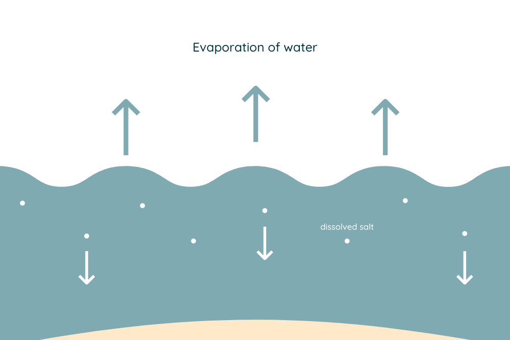 sea salinity